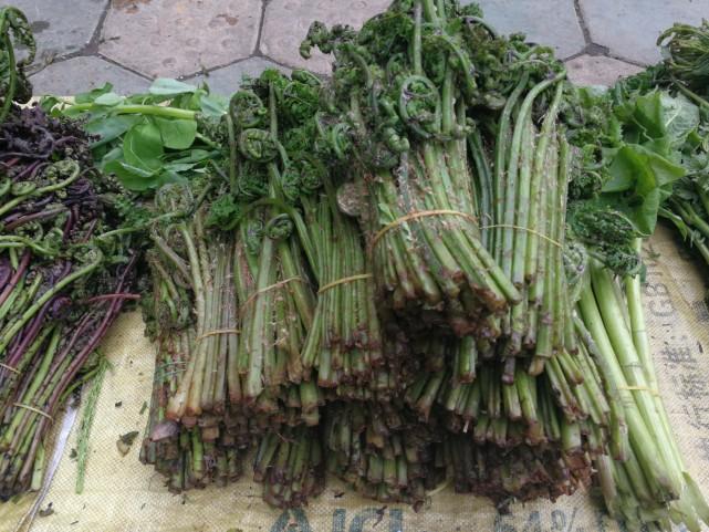 吉林,魅力无限,心向往之的活力之地🌟