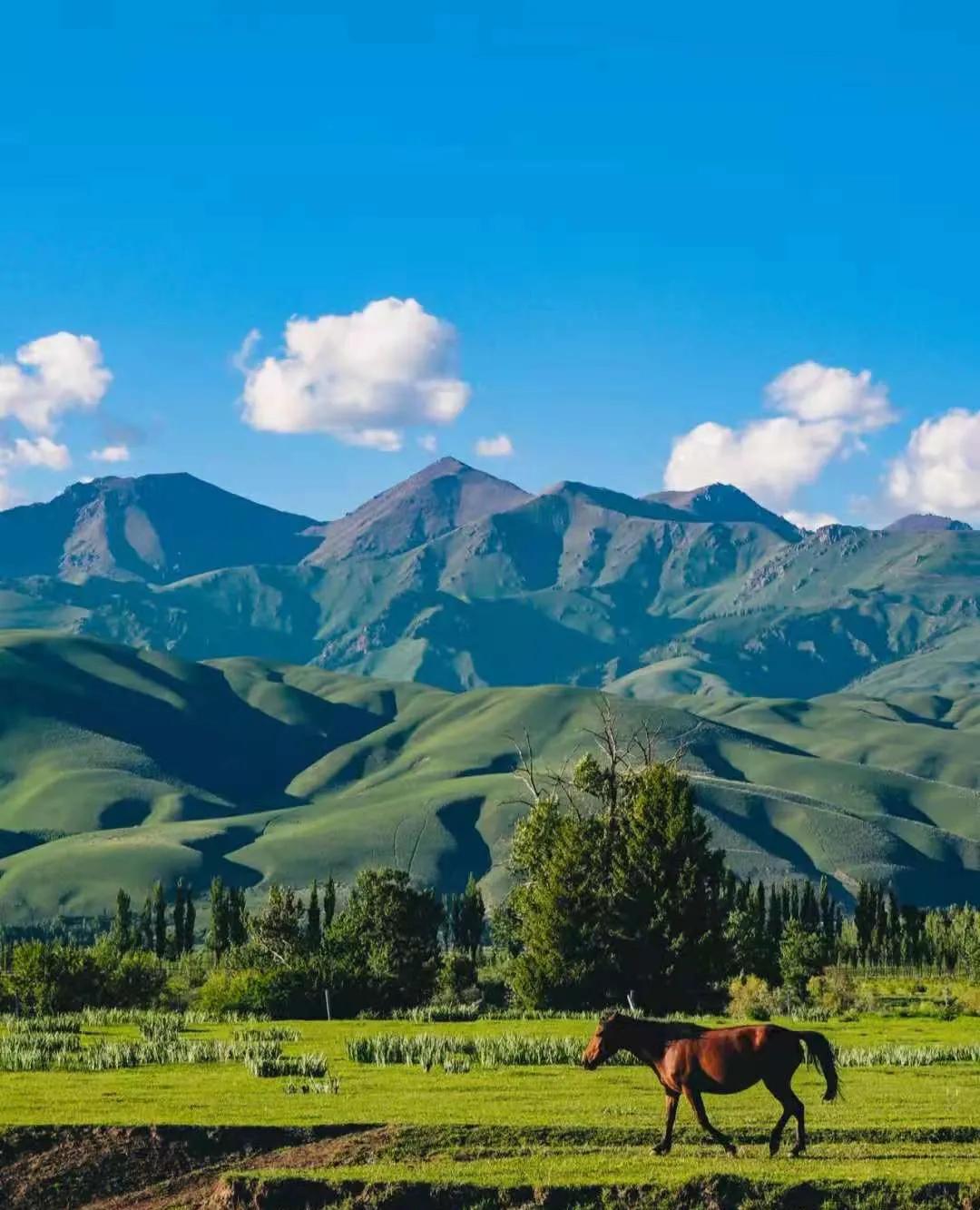 新疆,神秘多彩之土地探索