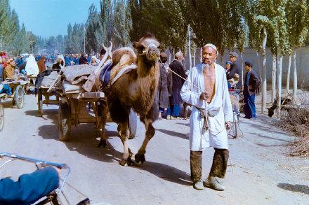 新疆,神秘多彩之土地探索
