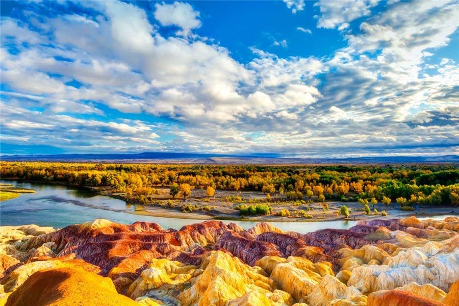 新疆，多元文化交融的瑰宝与和平发展之路