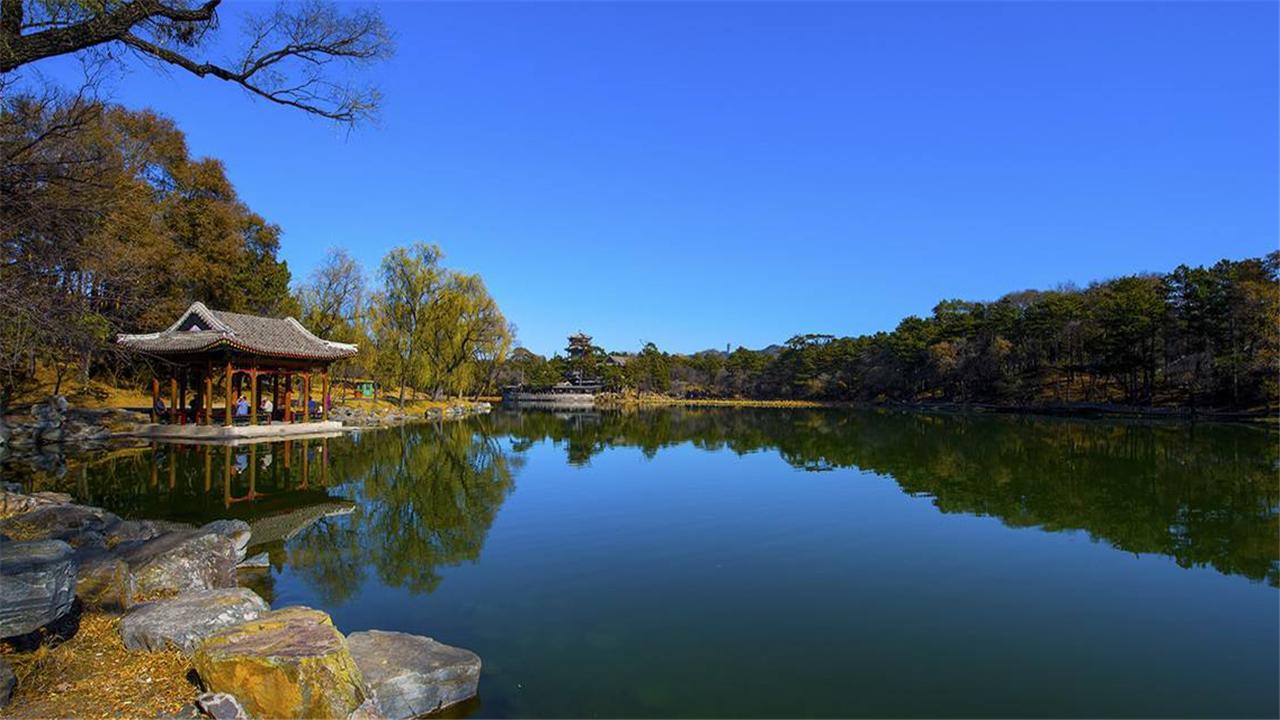 承德，任务或技能的详细步骤指南——初学者与进阶用户必读