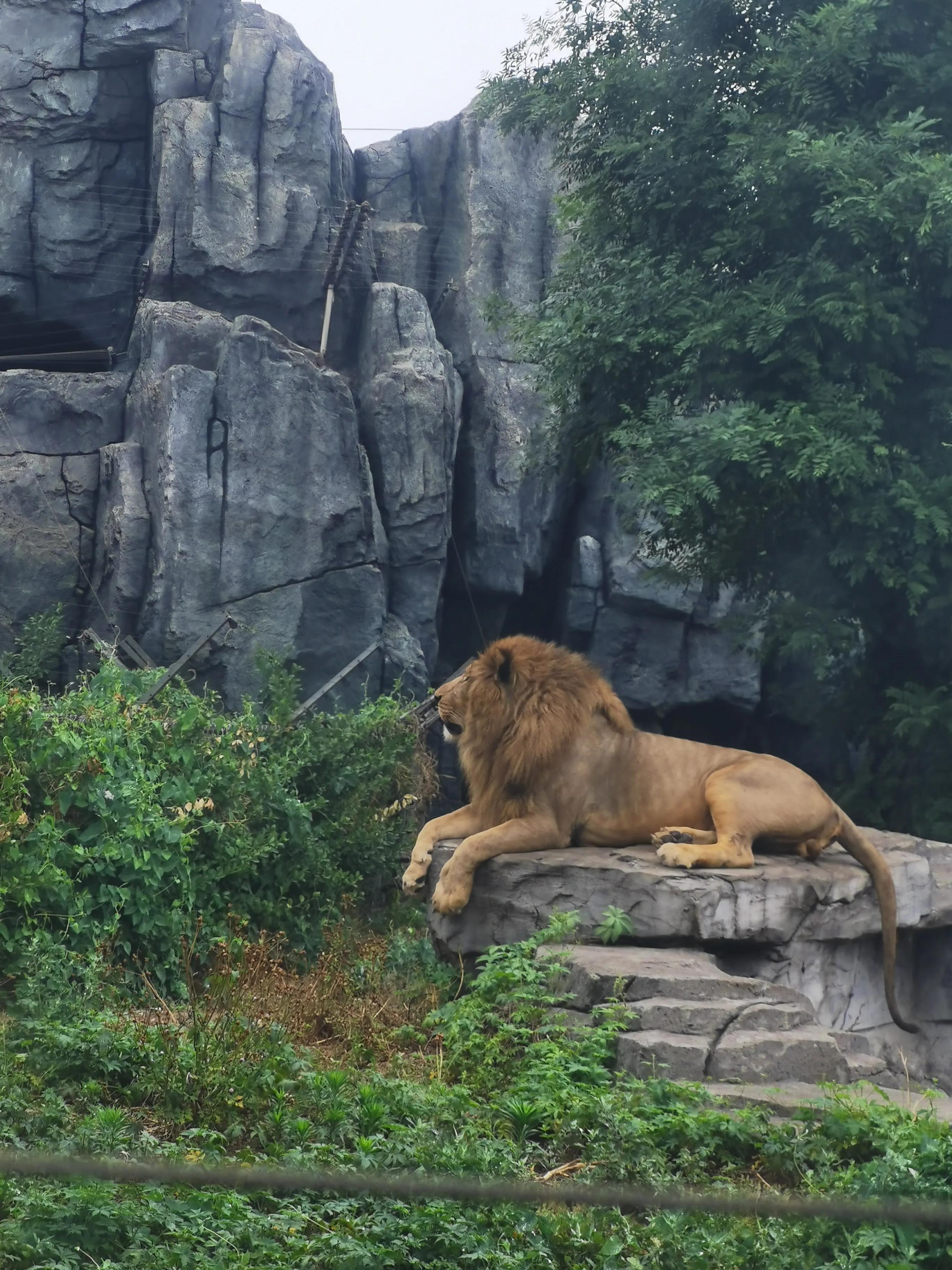 唐山巷弄深处的文艺秘境,一家隐藏的小店探寻记