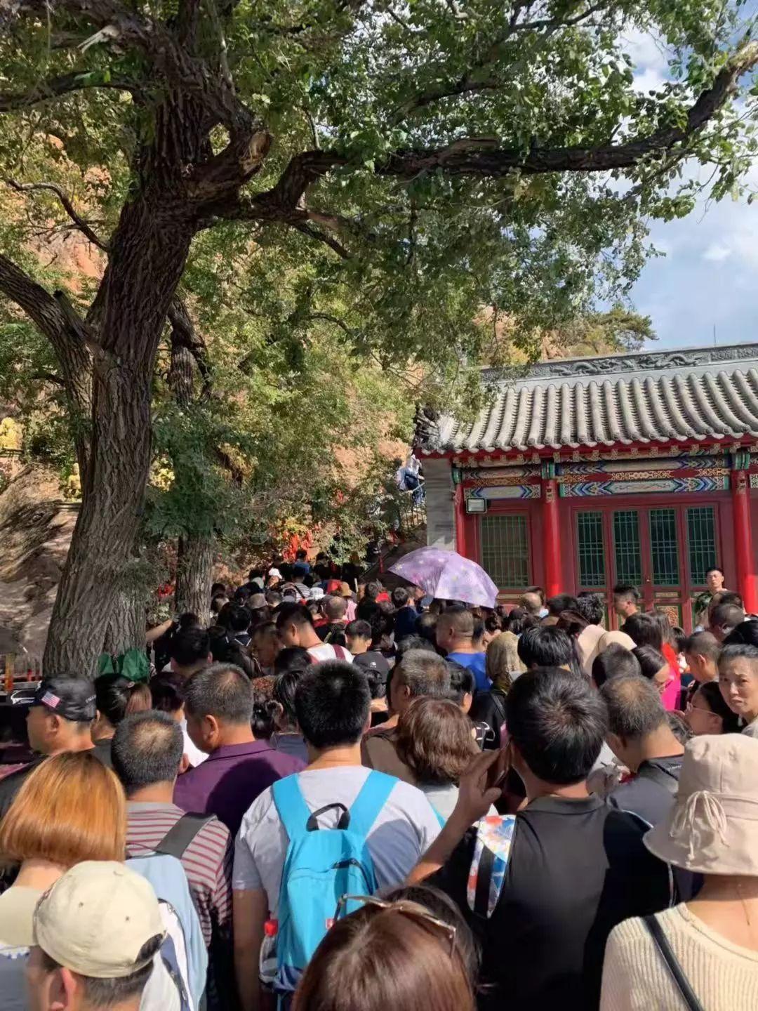 鞍山，友情与陪伴的温馨时光